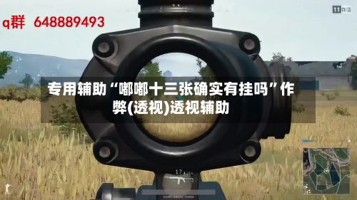 专用辅助“嘟嘟十三张确实有挂吗	”作弊(透视)透视辅助-第2张图片