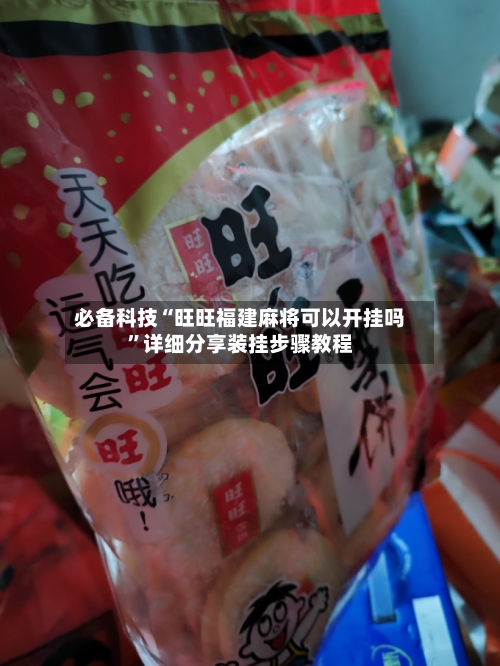 必备科技“旺旺福建麻将可以开挂吗”详细分享装挂步骤教程-第3张图片
