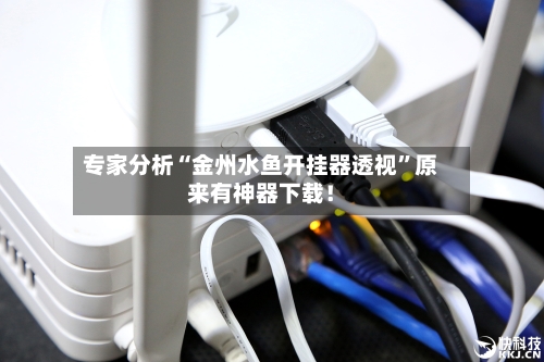 专家分析“金州水鱼开挂器透视”原来有神器下载！
