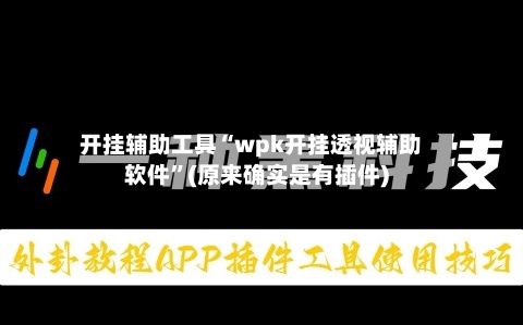 开挂辅助工具“wpk开挂透视辅助软件	”(原来确实是有插件)-第2张图片