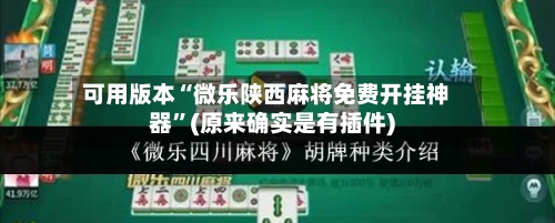 可用版本“微乐陕西麻将免费开挂神器”(原来确实是有插件)-第3张图片
