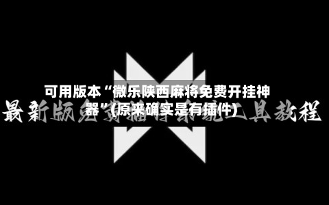 可用版本“微乐陕西麻将免费开挂神器	”(原来确实是有插件)-第2张图片