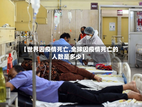 【世界因疫情死亡,全球因疫情死亡的人数是多少】