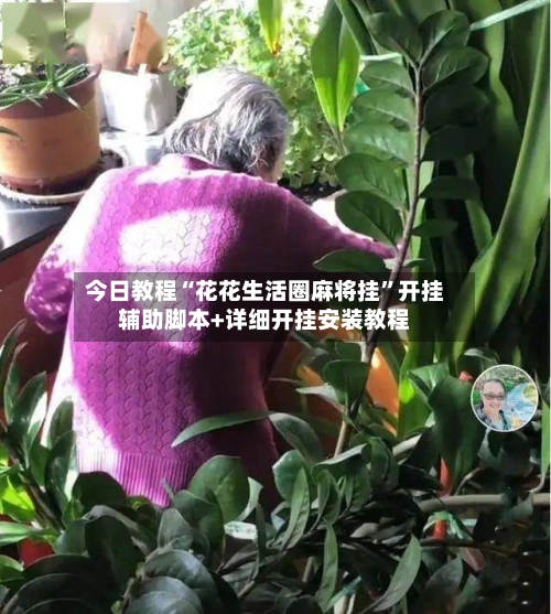 今日教程“花花生活圈麻将挂”开挂辅助脚本+详细开挂安装教程-第3张图片