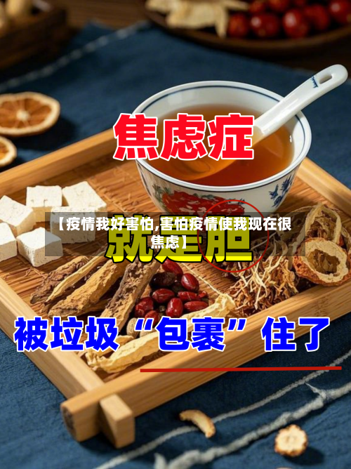 【疫情我好害怕,害怕疫情使我现在很焦虑】-第2张图片