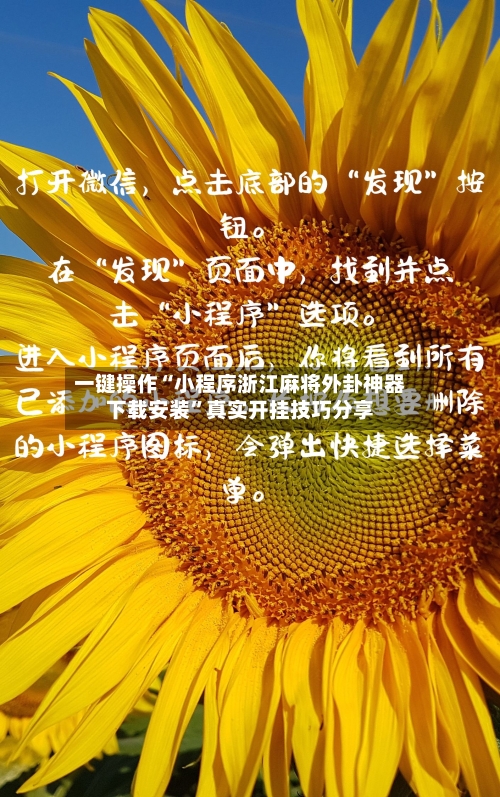 一键操作“小程序浙江麻将外卦神器下载安装”真实开挂技巧分享-第2张图片