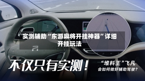 实测辅助“东游麻将开挂神器”详细开挂玩法-第2张图片