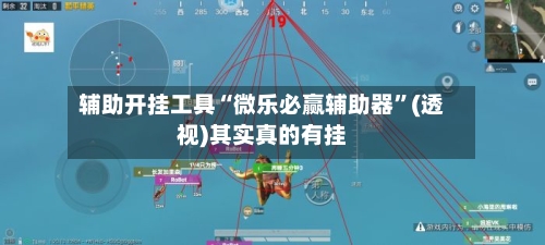 辅助开挂工具“微乐必赢辅助器”(透视)其实真的有挂-第3张图片