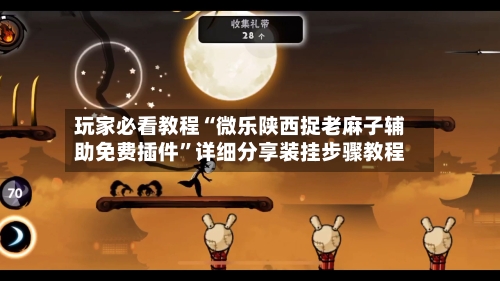 玩家必看教程“微乐陕西捉老麻子辅助免费插件	”详细分享装挂步骤教程-第2张图片