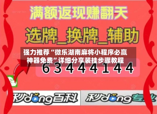 强力推荐“微乐湖南麻将小程序必赢神器免费”详细分享装挂步骤教程-第3张图片
