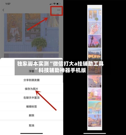 独家脚本实测“微信打大a挂辅助工具	”科技辅助神器手机版-第2张图片