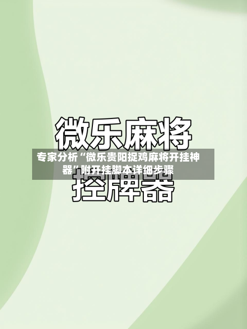 专家分析“微乐贵阳捉鸡麻将开挂神器	”附开挂脚本详细步骤-第2张图片