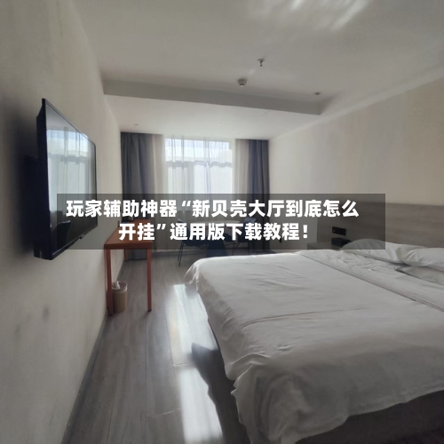 玩家辅助神器“新贝壳大厅到底怎么开挂”通用版下载教程！-第3张图片