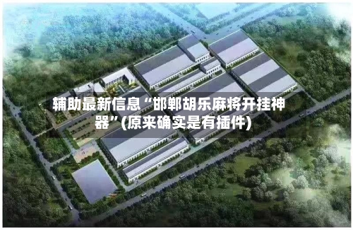 辅助最新信息“邯郸胡乐麻将开挂神器”(原来确实是有插件)-第2张图片