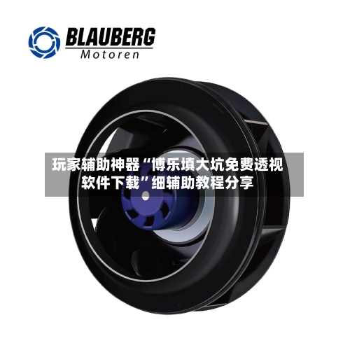 玩家辅助神器“博乐填大坑免费透视软件下载	”细辅助教程分享-第2张图片