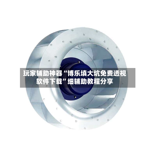 玩家辅助神器“博乐填大坑免费透视软件下载”细辅助教程分享-第3张图片