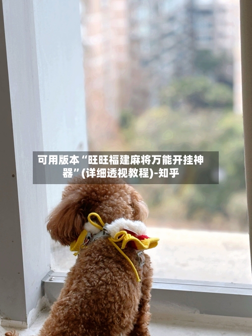 可用版本“旺旺福建麻将万能开挂神器”(详细透视教程)-知乎-第3张图片