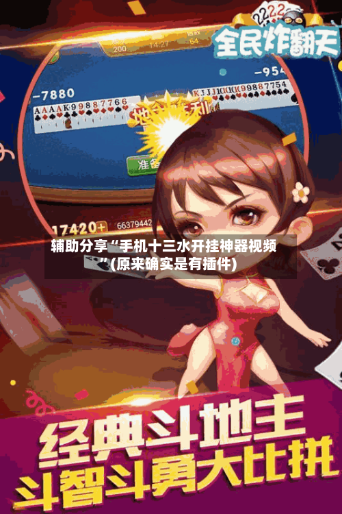 辅助分享“手机十三水开挂神器视频	”(原来确实是有插件)-第3张图片