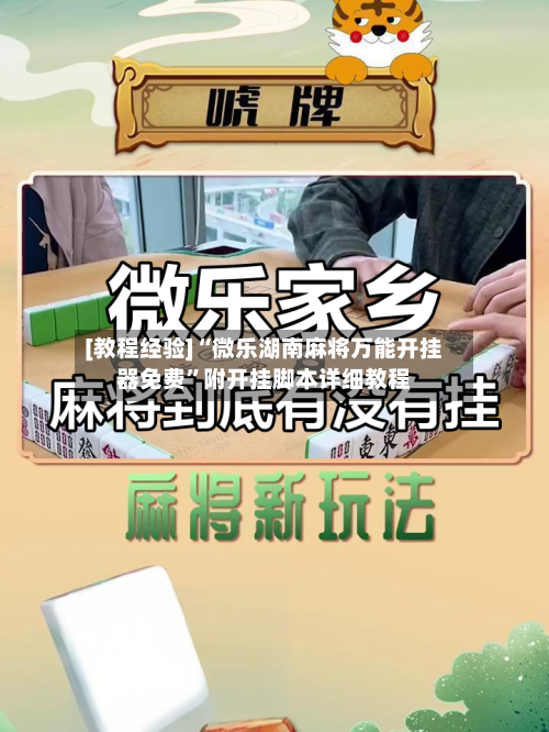 [教程经验]“微乐湖南麻将万能开挂器免费”附开挂脚本详细教程-第3张图片