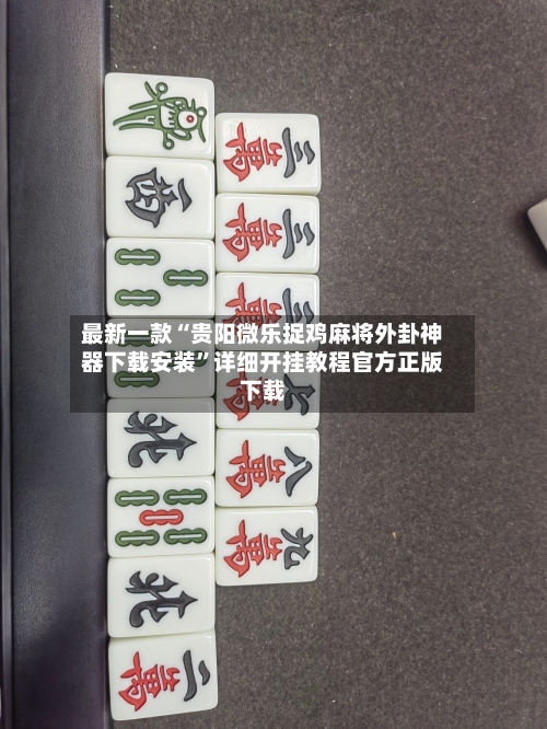 最新一款“贵阳微乐捉鸡麻将外卦神器下载安装	”详细开挂教程官方正版下载-第2张图片