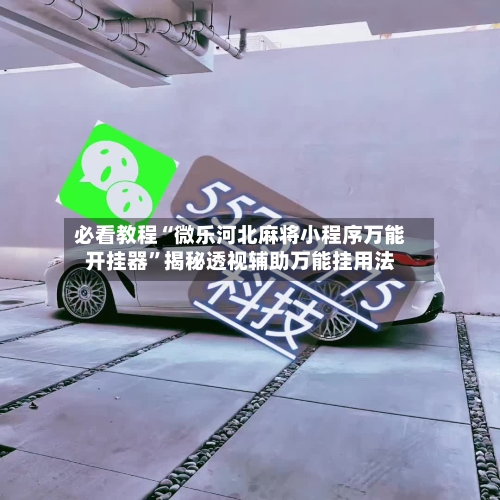必看教程“微乐河北麻将小程序万能开挂器”揭秘透视辅助万能挂用法-第2张图片