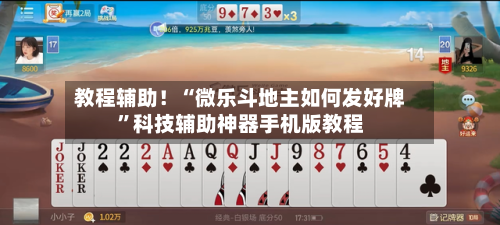 教程辅助！“微乐斗地主如何发好牌	”科技辅助神器手机版教程-第3张图片