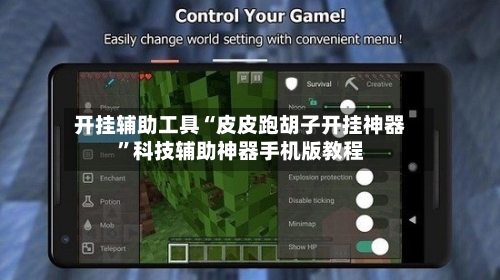 开挂辅助工具“皮皮跑胡子开挂神器	”科技辅助神器手机版教程-第3张图片