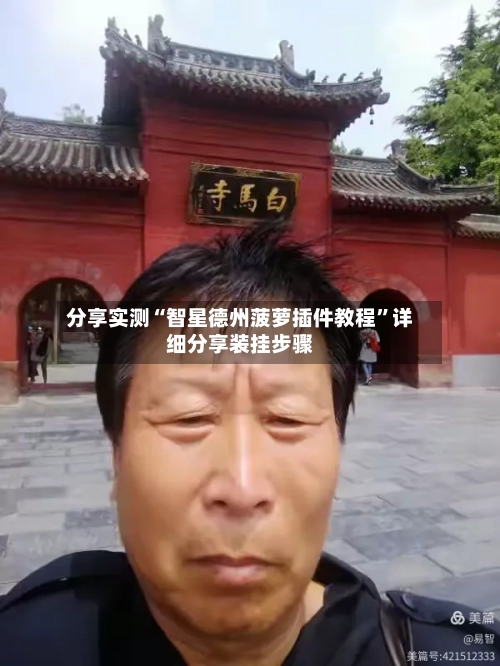 分享实测“智星德州菠萝插件教程”详细分享装挂步骤-第3张图片