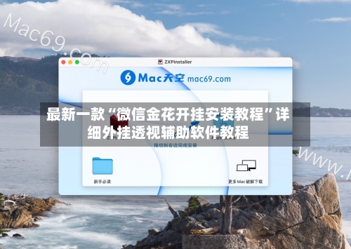 最新一款“微信金花开挂安装教程”详细外挂透视辅助软件教程-第2张图片