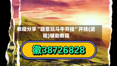 教程分享“随意玩斗牛开挂”开挂(透视)辅助教程-第3张图片