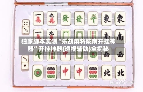 独家脚本实测“乐胡麻将陇南开挂神器”开挂神器{透视辅助}全揭秘-第3张图片