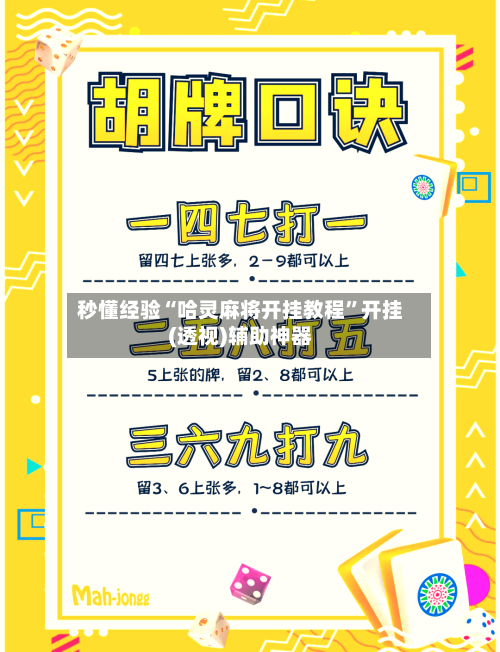 秒懂经验“哈灵麻将开挂教程”开挂(透视)辅助神器-第3张图片