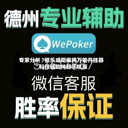 专家分析“微乐咸阳麻将万能开挂器”科技辅助神器手机版-第3张图片