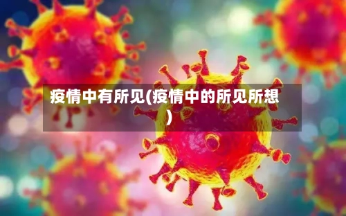 疫情中有所见(疫情中的所见所想)