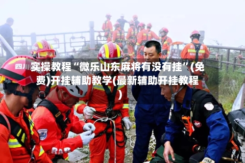 实操教程“微乐山东麻将有没有挂	”(免费)开挂辅助教学(最新辅助开挂教程)-第3张图片