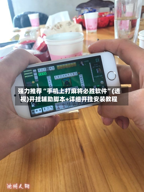 强力推荐“手机上打麻将必胜软件”(透视)开挂辅助脚本+详细开挂安装教程-第3张图片