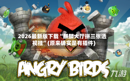 2026最新版下载“麒麟大厅拼三张透视挂”(原来确实是有插件)-第2张图片