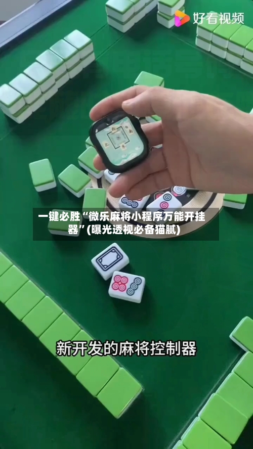 一键必胜“微乐麻将小程序万能开挂器	”(曝光透视必备猫腻)-第2张图片