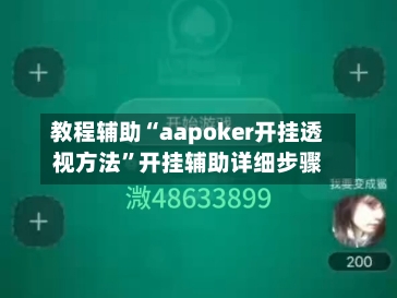 教程辅助“aapoker开挂透视方法”开挂辅助详细步骤-第3张图片