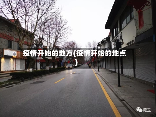 疫情开始的地方(疫情开始的地点)