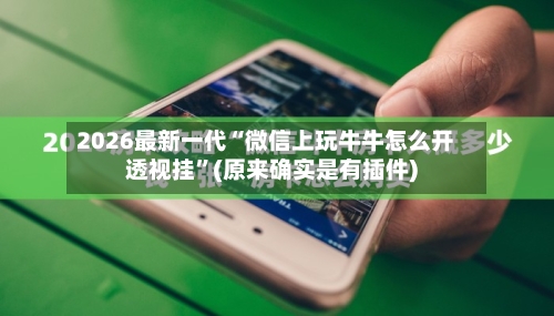 2026最新一代“微信上玩牛牛怎么开透视挂”(原来确实是有插件)-第2张图片
