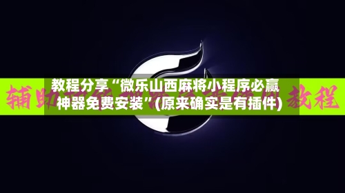 教程分享“微乐山西麻将小程序必赢神器免费安装	”(原来确实是有插件)-第2张图片