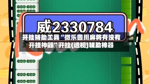 开挂辅助工具“微乐四川麻将有没有开挂神器”开挂(透视)辅助神器-第3张图片