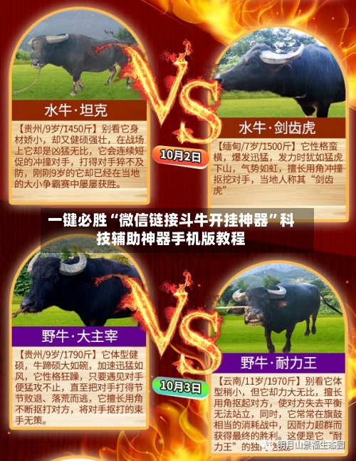 一键必胜“微信链接斗牛开挂神器	”科技辅助神器手机版教程-第2张图片