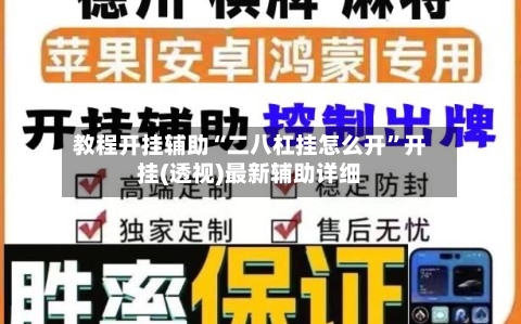 教程开挂辅助“二八杠挂怎么开	”开挂(透视)最新辅助详细-第2张图片