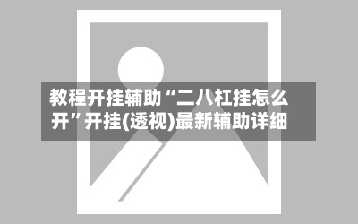 教程开挂辅助“二八杠挂怎么开”开挂(透视)最新辅助详细-第3张图片