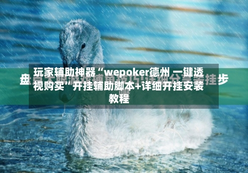 玩家辅助神器“wepoker德州 一键透视购买”开挂辅助脚本+详细开挂安装教程-第2张图片
