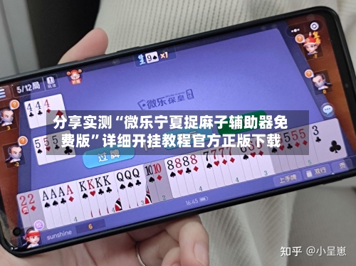 分享实测“微乐宁夏捉麻子辅助器免费版	”详细开挂教程官方正版下载-第2张图片