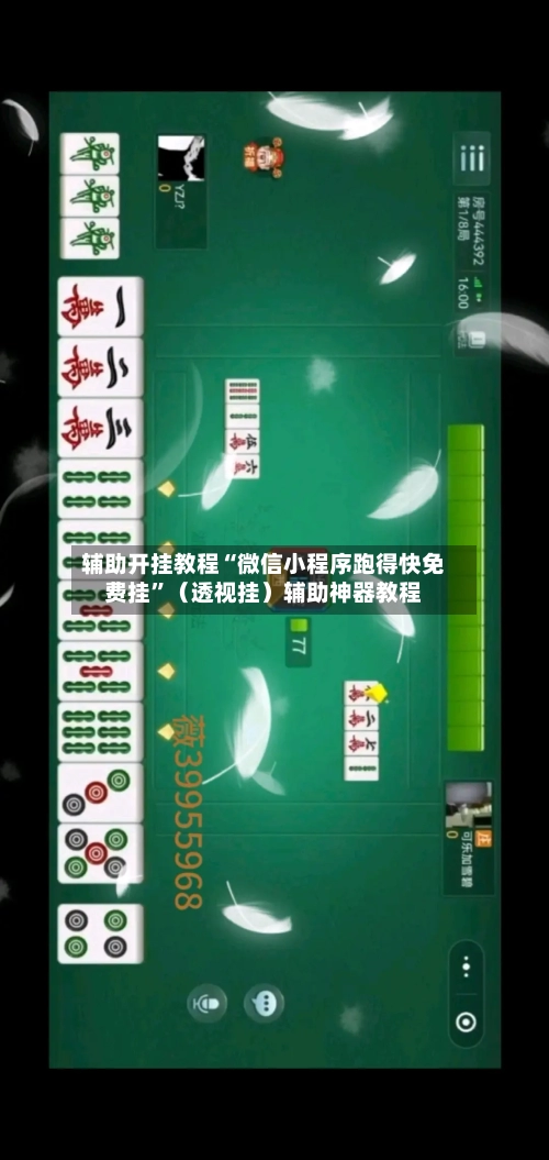 辅助开挂教程“微信小程序跑得快免费挂”（透视挂）辅助神器教程-第2张图片