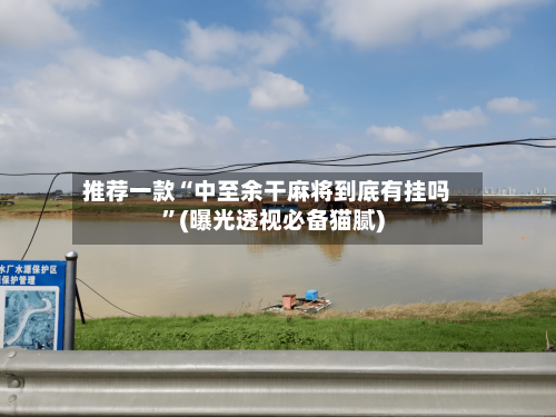 推荐一款“中至余干麻将到底有挂吗”(曝光透视必备猫腻)-第2张图片